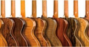 Acoustic guitar tone woods